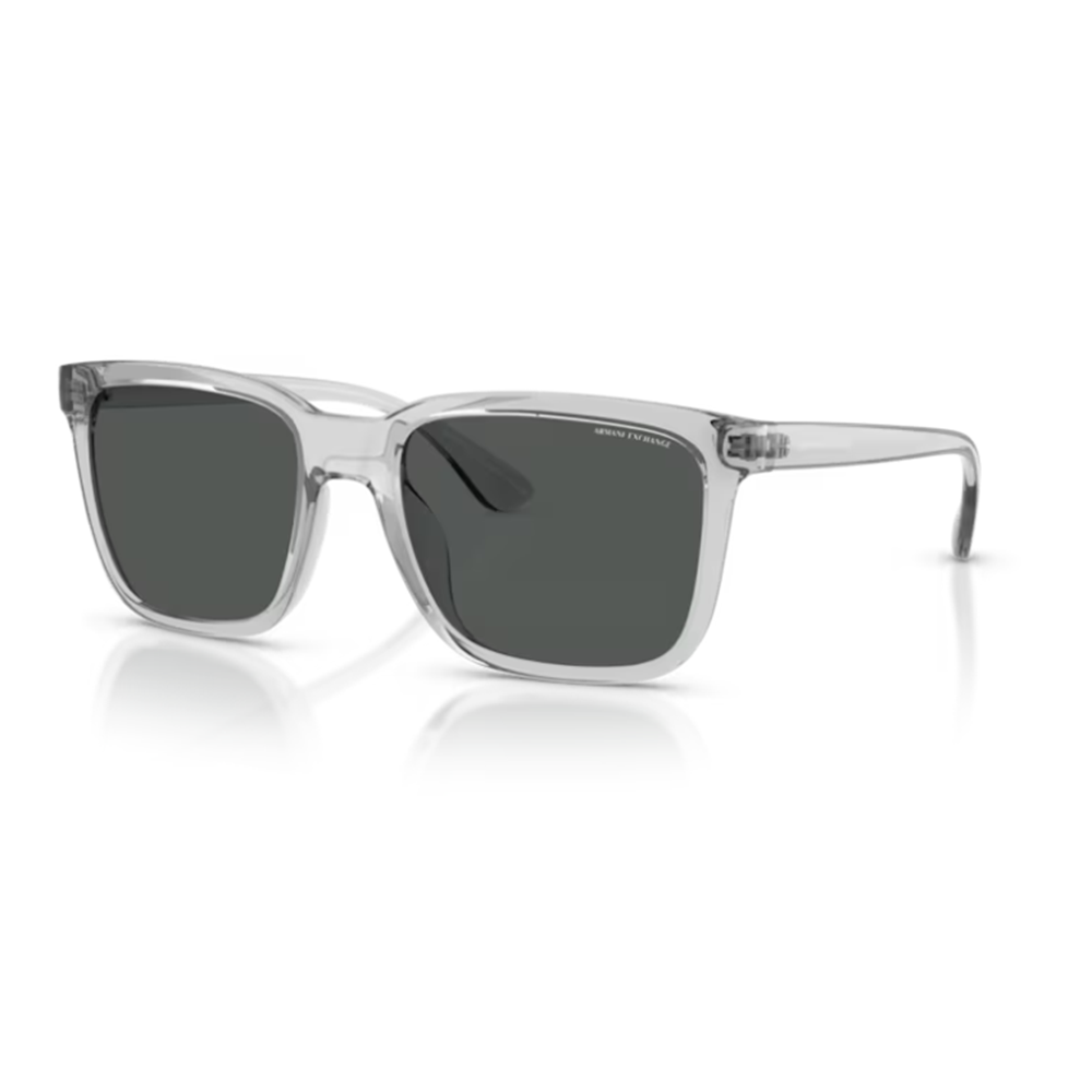 GÜNEŞ GÖZLÜĞÜ ARMANI EXCHANGE ARM 0AX4112SU 823987 55-19 145 G