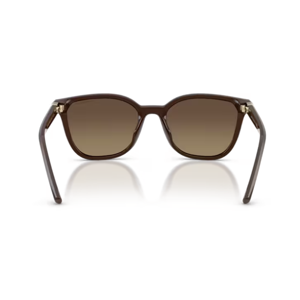 GÜNEŞ GÖZLÜĞÜ ARMANI EXCHANGE ARM 0AX4168SU 8402T5 54-19 140 G