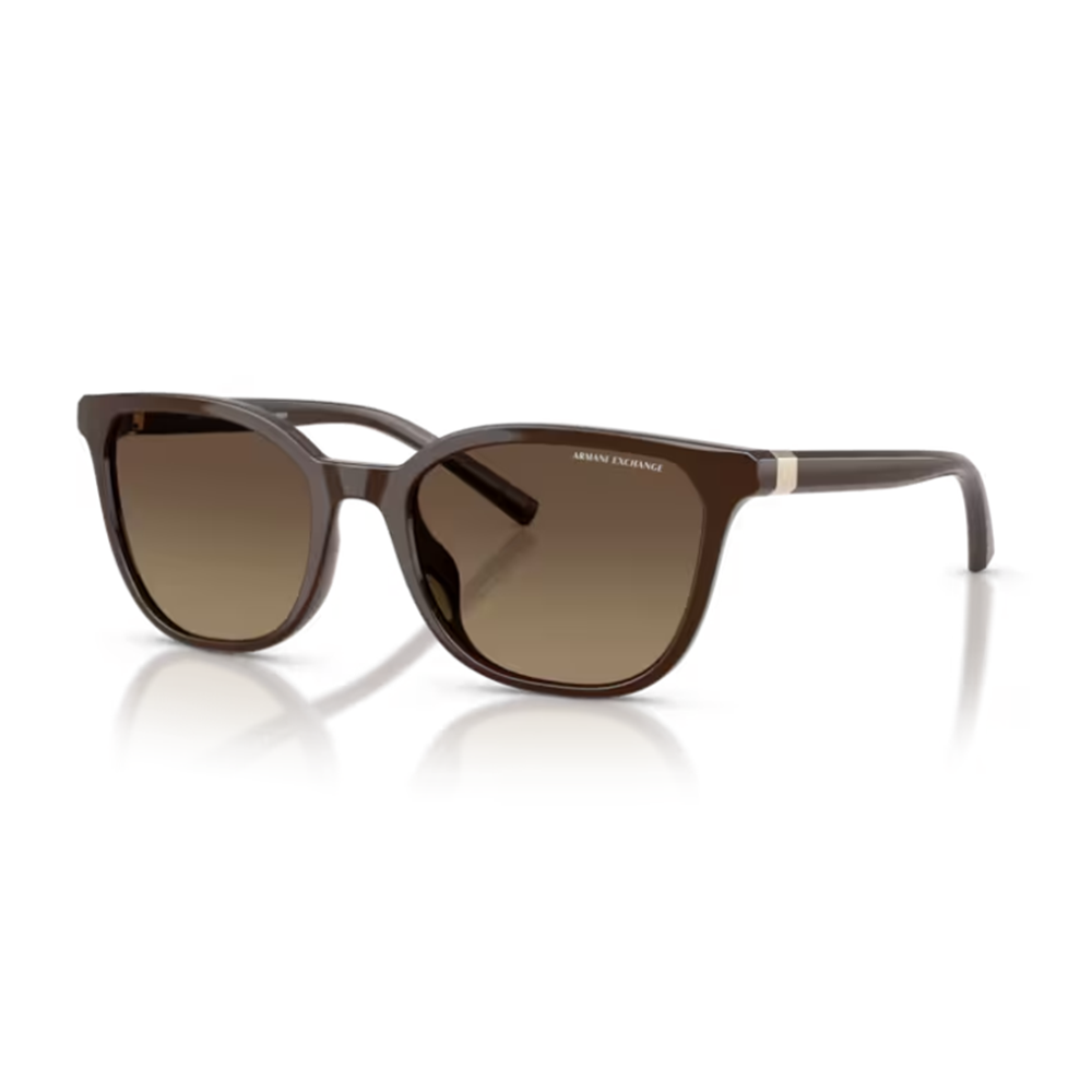 GÜNEŞ GÖZLÜĞÜ ARMANI EXCHANGE ARM 0AX4168SU 8402T5 54-19 140 G