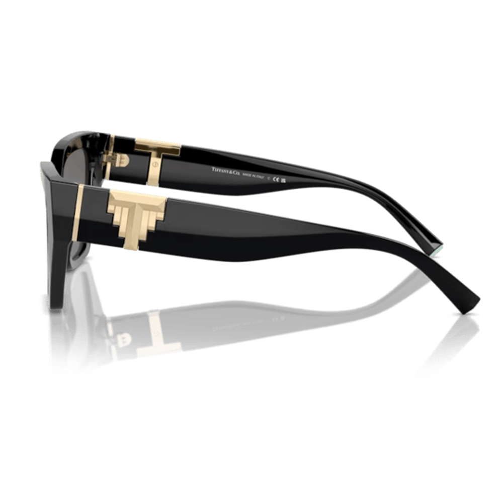 GÜNEŞ GÖZLÜĞÜ TiFFANY TF 0TF4218 800181 55-17 140 G