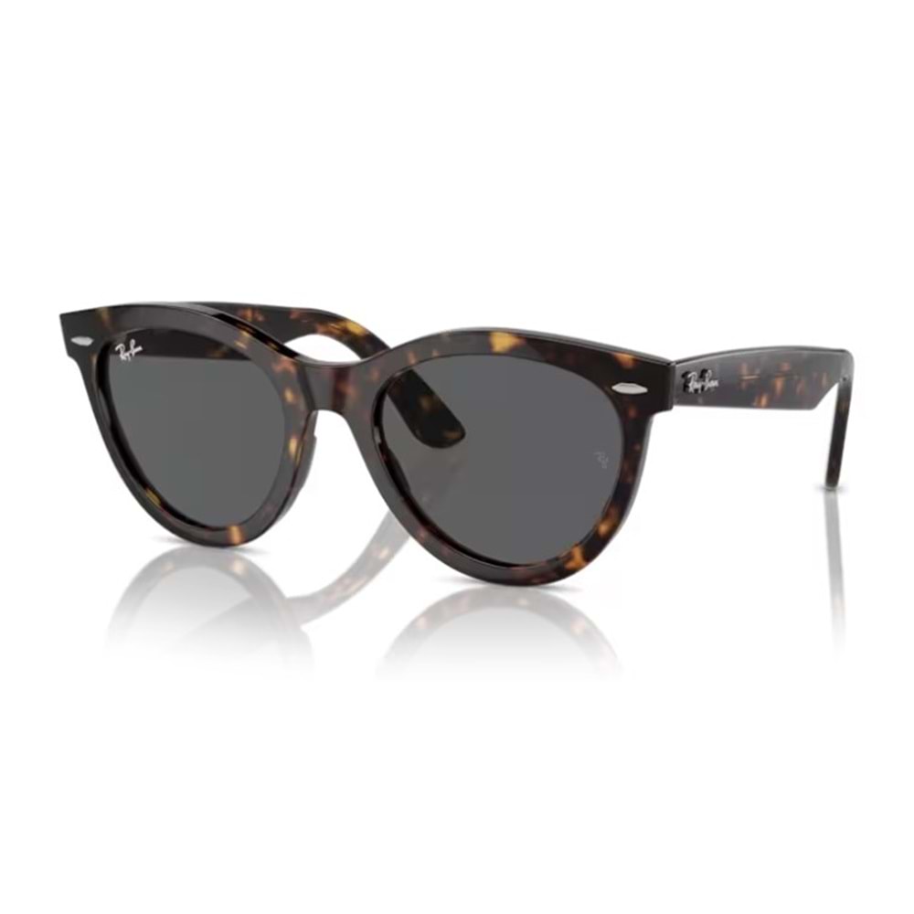 GÜNEŞ GÖZLÜĞÜ RAY-BAN RB 0RB2241 902/B1 54-21 150 G