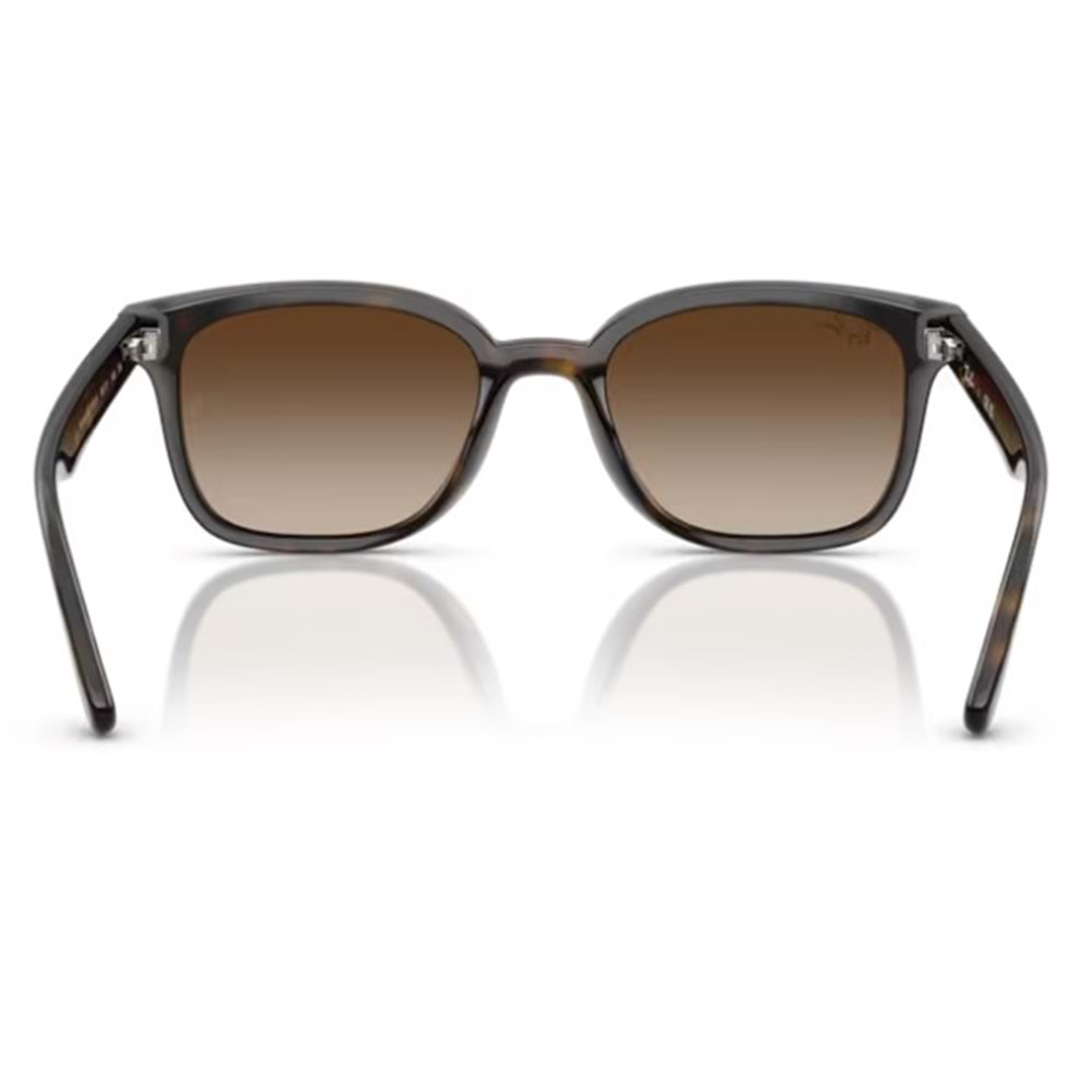 GÜNEŞ GÖZLÜĞÜ RAY-BAN RB 0RB4461D 710/13 64-17 145 G