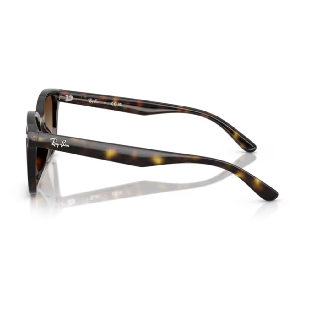 GÜNEŞ GÖZLÜĞÜ RAY-BAN RB 0RB4461D 710/13 64-17 145 G