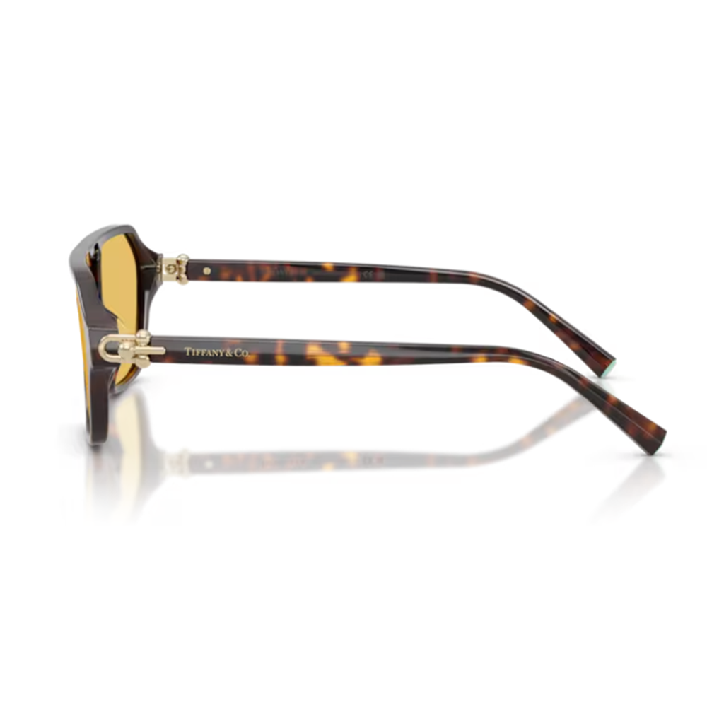GÜNEŞ GÖZLÜĞÜ TiFFANY TF 0TF4264U 801585 58-14 140 G