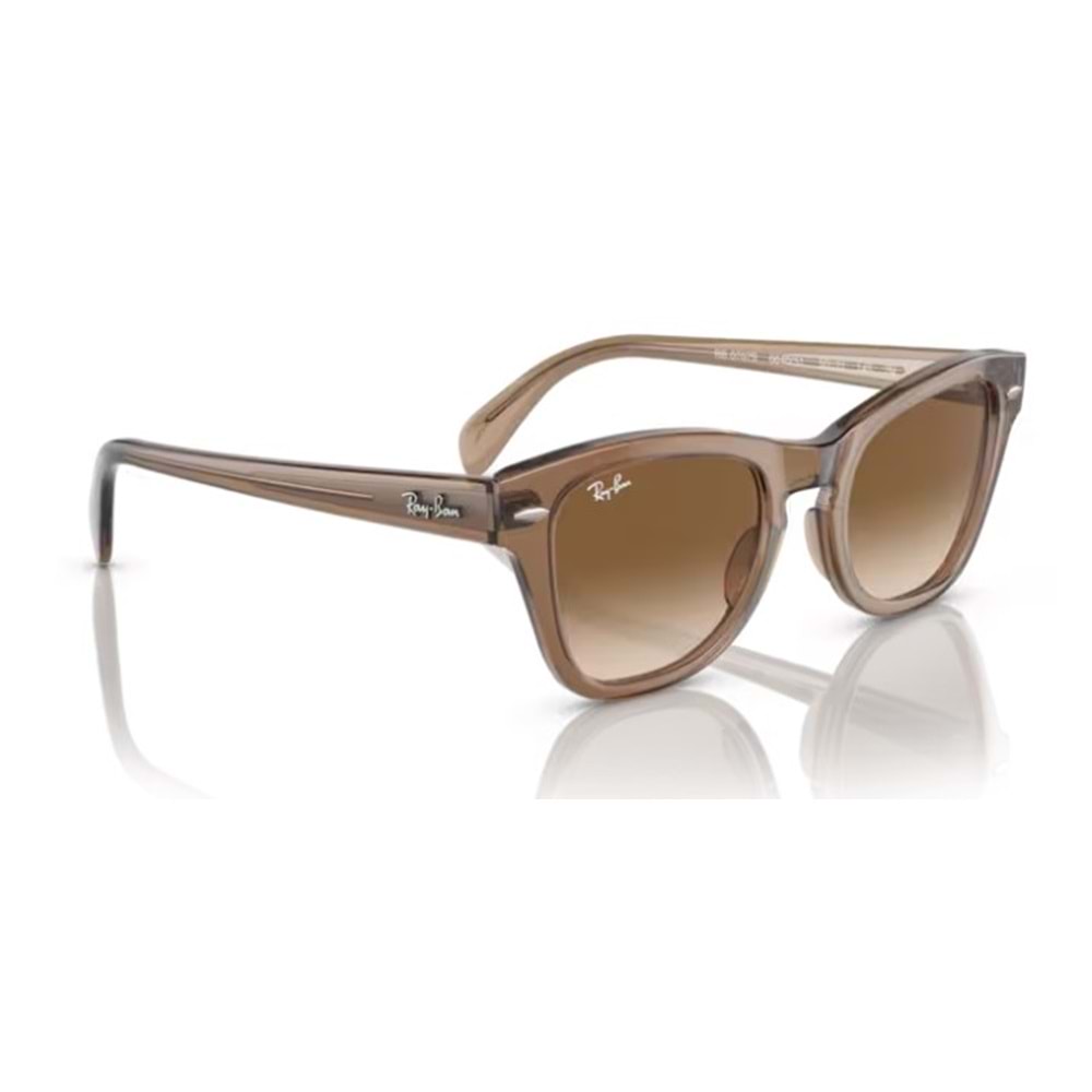 GÜNEŞ GÖZLÜĞÜ RAY-BAN RB 0RB0707S 664051 50-21 145 G