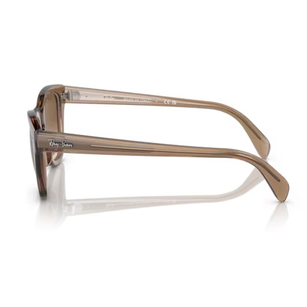 GÜNEŞ GÖZLÜĞÜ RAY-BAN RB 0RB0707S 664051 50-21 145 G