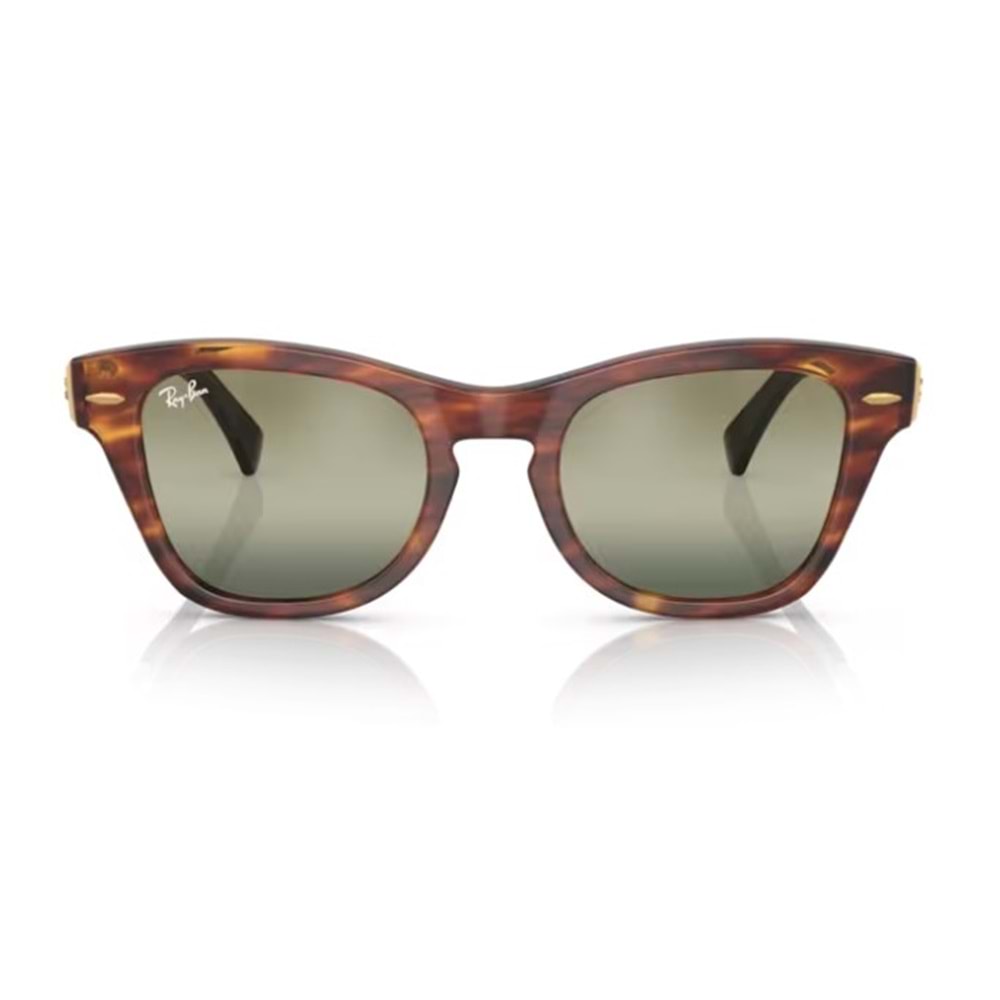 GÜNEŞ GÖZLÜĞÜ RAY-BAN RB 0RB0707SM 954/G4 50-21 145 G