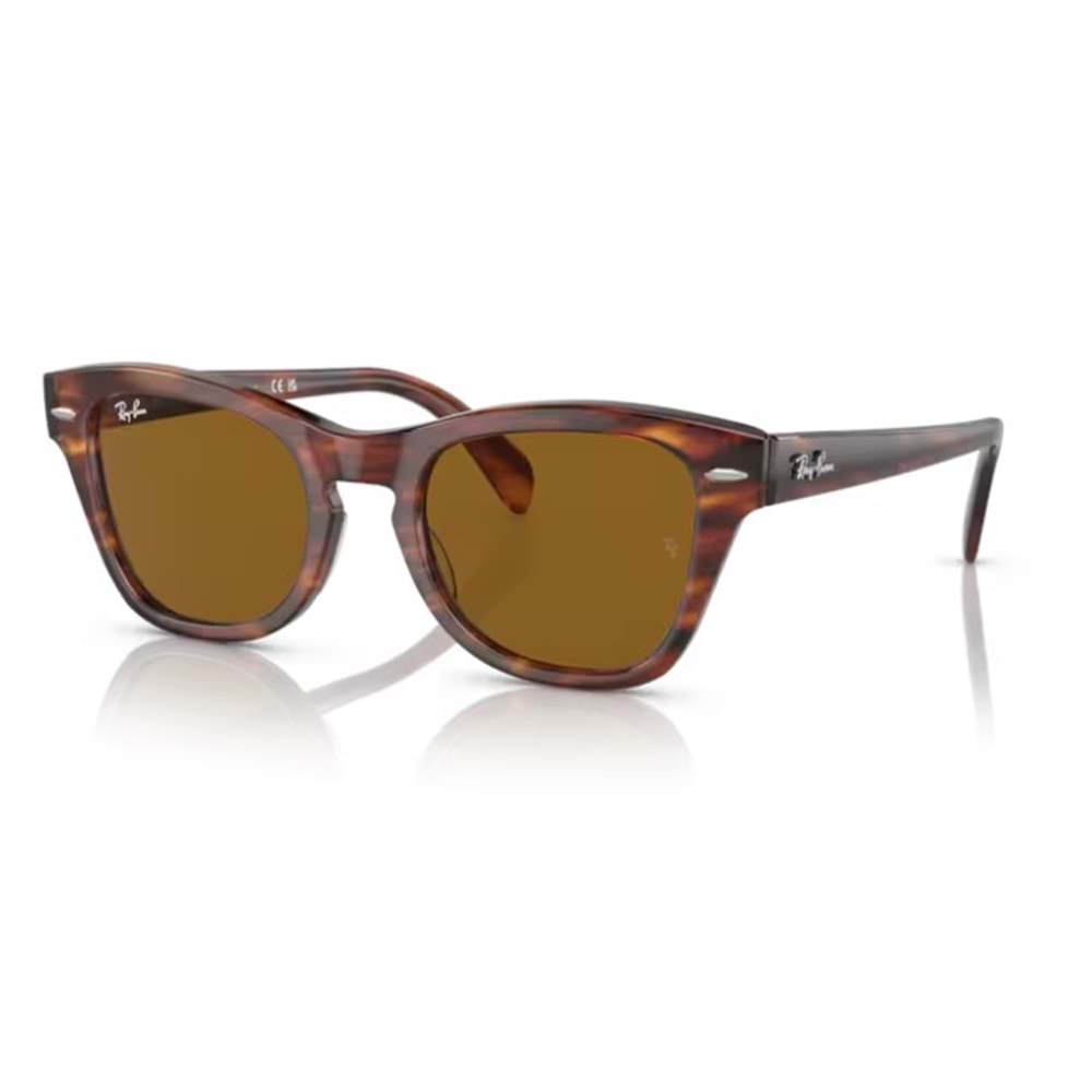 GÜNEŞ GÖZLÜĞÜ RAY-BAN RB 0RB0707S 954/33 53-21 145 3N G