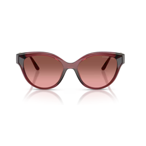 GÜNEŞ GÖZLÜĞÜ MICHAEL KORS MK 0MK2271U 317511 53-17 140 G