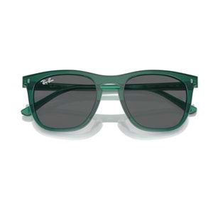 GÜNEŞ GÖZLÜĞÜ RAY-BAN RB 0RB2210 6615B1 53-21 145 G