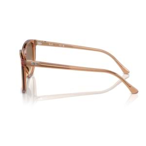 GÜNEŞ GÖZLÜĞÜ RAY-BAN RB 0RB2210 676451 53-21 145 G