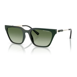 GÜNEŞ GÖZLÜĞÜ ARMANI EXCHANGE ARM 0AX4158S 83828E 55-20 140 G