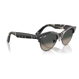 GÜNEŞ GÖZLÜĞÜ RAY-BAN RB 0RB2341 143371 51-19 150 G