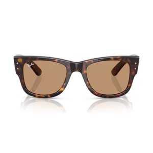 GÜNEŞ GÖZLÜĞÜ RAY-BAN RB 0RB0840S 902/53 51-21 145 G