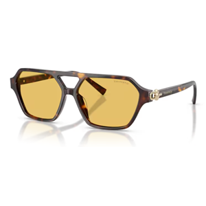 GÜNEŞ GÖZLÜĞÜ TiFFANY TF 0TF4264U 801585 58-14 140 G