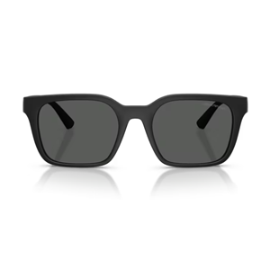 GÜNEŞ GÖZLÜĞÜ EMPORIO ARMANI EA 0EA4269 500987 54-20 145 G