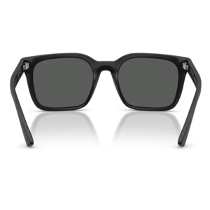 GÜNEŞ GÖZLÜĞÜ EMPORIO ARMANI EA 0EA4269 500987 54-20 145 G