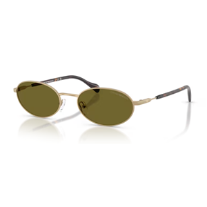 GÜNEŞ GÖZLÜĞÜ EMPORIO ARMANI EA 0EA2175 3002/2 54-19 145 G