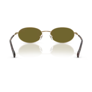 GÜNEŞ GÖZLÜĞÜ EMPORIO ARMANI EA 0EA2175 3002/2 54-19 145 G