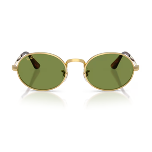 GÜNEŞ GÖZLÜĞÜ Ray-Ban RB 0RB3931 001/E4 54-21 145 G