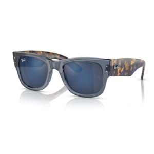GÜNEŞ GÖZLÜĞÜ RAY-BAN RB 0RB0840S 6638O4 51-21 145 G