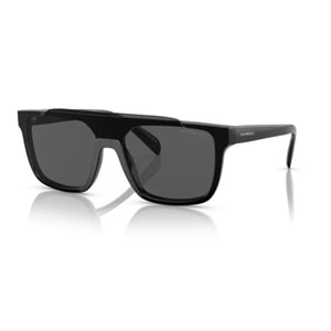 GÜNEŞ GÖZLÜĞÜ EMPORIO ARMANI EA 0EA4193 501787 31 G