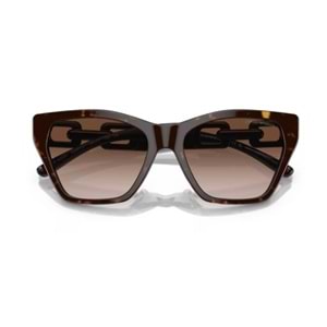 GÜNEŞ GÖZLÜĞÜ EMPORIO ARMANI EA 0EA4203U 502613 55-17 140 G