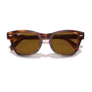 GÜNEŞ GÖZLÜĞÜ Ray-Ban RB 0RB0707S 954/33 53-21 145 3N G