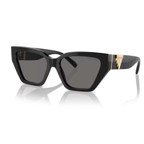 GÜNEŞ GÖZLÜĞÜ TiFFANY TF 0TF4218 800181 55-17 140 G