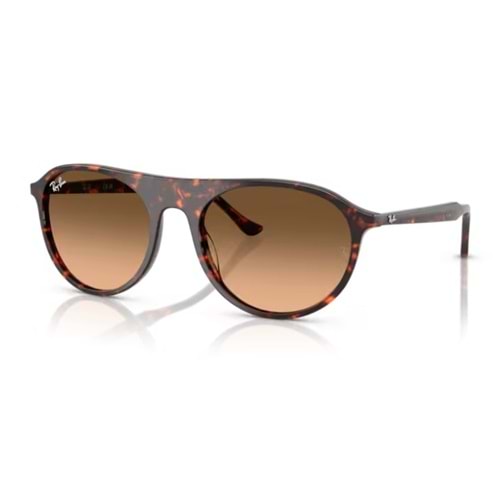 GÜNEŞ GÖZLÜĞÜ RAY-BAN RB 2215 14293B 56