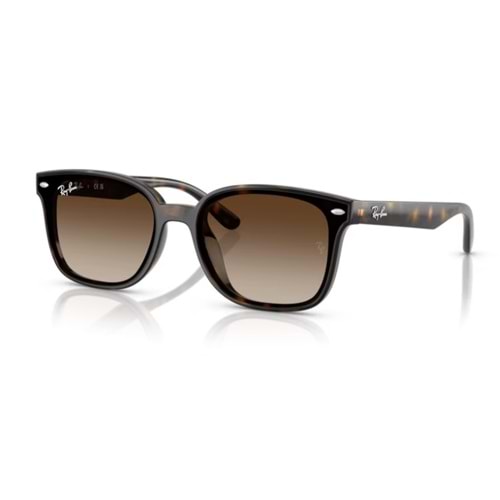 GÜNEŞ GÖZLÜĞÜ RAY-BAN RB 4461D 710/13 64-17 145