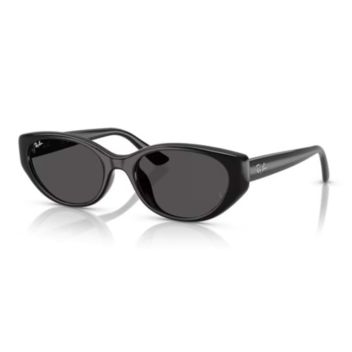 GÜNEŞ GÖZLÜĞÜ RAY-BAN RB 4457D 667787 55