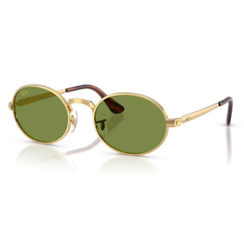 GÜNEŞ GÖZLÜĞÜ Ray-Ban RB 0RB3931 001/E4 54-21 145 G