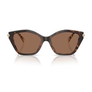 GÜNEŞ GÖZLÜĞÜ MICHAEL KORS MK 0MK2246U 395173 54-17 140 G