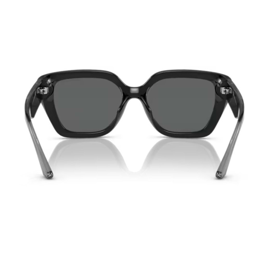 GÜNEŞ GÖZLÜĞÜ ARMANI EXCHANGE AX 4125SU 815887 54