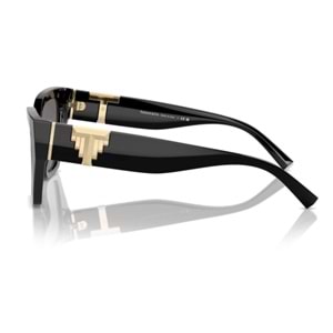 GÜNEŞ GÖZLÜĞÜ TiFFANY TF 0TF4218 800181 55-17 140 G