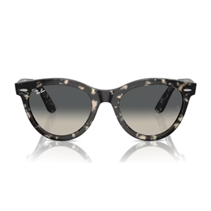 GÜNEŞ GÖZLÜĞÜ RAY-BAN RB 0RB2241 1333/71 51-21 150 G
