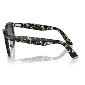 GÜNEŞ GÖZLÜĞÜ RAY-BAN RB 0RB2241 1333/71 54-21 150 G