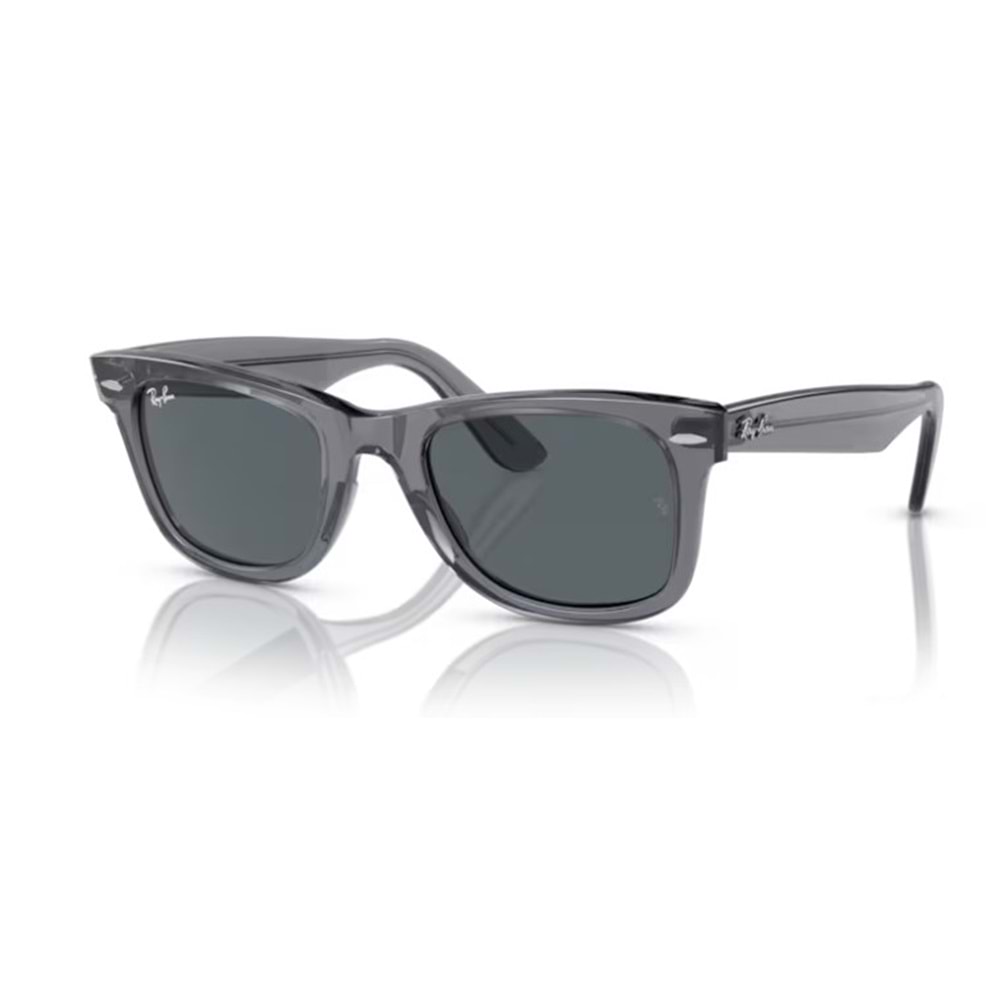 GÜNEŞ GÖZLÜĞÜ RAY-BAN RB 2140 6773R5 50-22 150