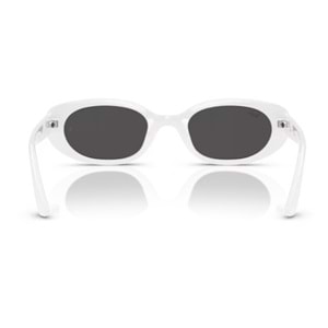 GÜNEŞ GÖZLÜĞÜ RAY-BAN RB 4441D 677287 53
