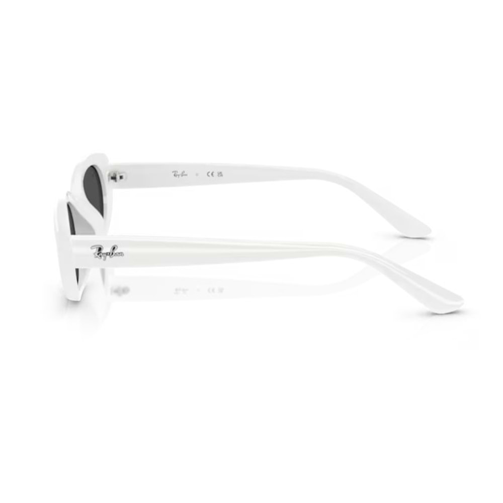 GÜNEŞ GÖZLÜĞÜ RAY-BAN RB 4441D 677287 53