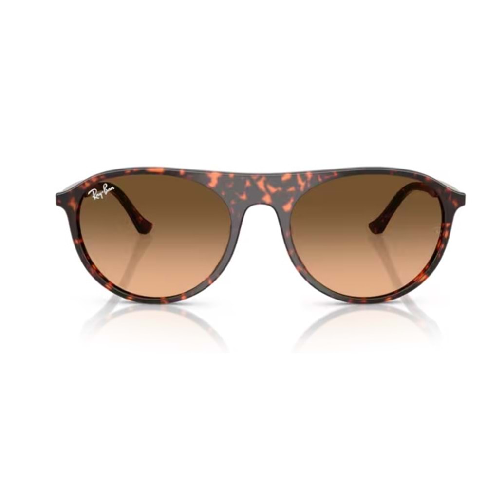 GÜNEŞ GÖZLÜĞÜ RAY-BAN RB 2215 14293B 56