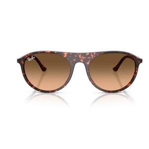 GÜNEŞ GÖZLÜĞÜ RAY-BAN RB 2215 14293B 56