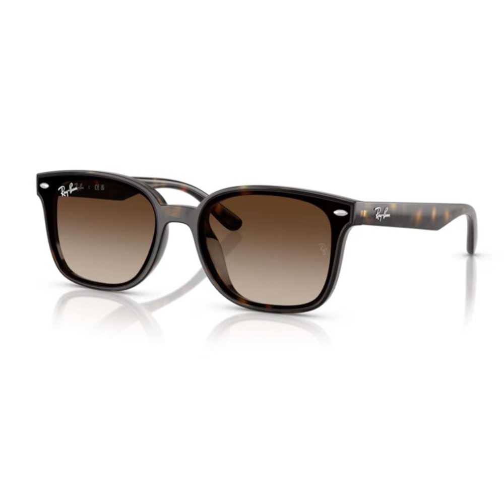 GÜNEŞ GÖZLÜĞÜ RAY-BAN RB 4461D 710/13 64-17 145
