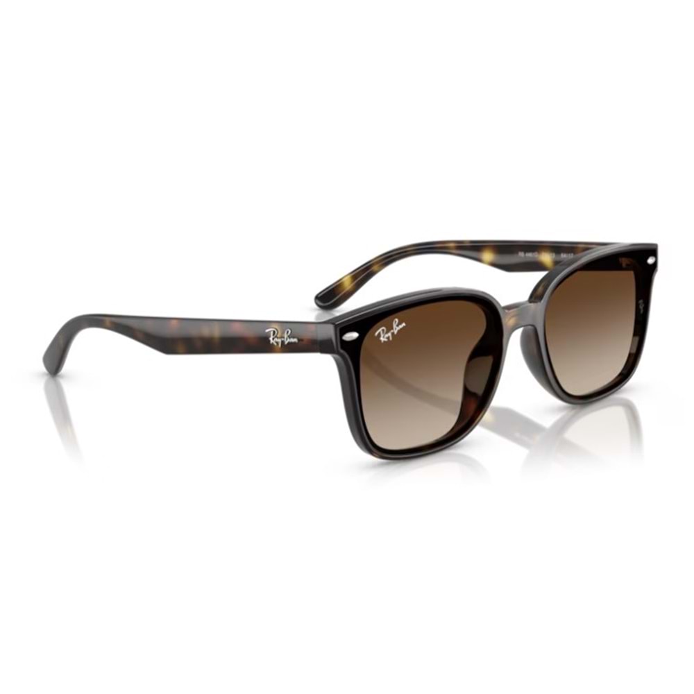 GÜNEŞ GÖZLÜĞÜ RAY-BAN RB 4461D 710/13 64-17 145