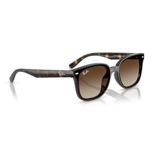 GÜNEŞ GÖZLÜĞÜ RAY-BAN RB 4461D 710/13 64-17 145