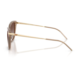GÜNEŞ GÖZLÜĞÜ EMPORIO ARMANI EA 0EA4251 626313 54-17 140 G