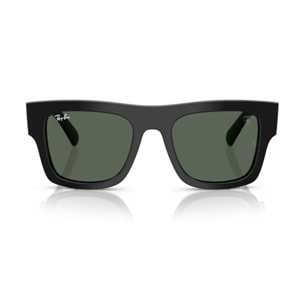 GÜNEŞ GÖZLÜĞÜ RAY-BAN RB 0RB2217M F60171 53-21 145 G