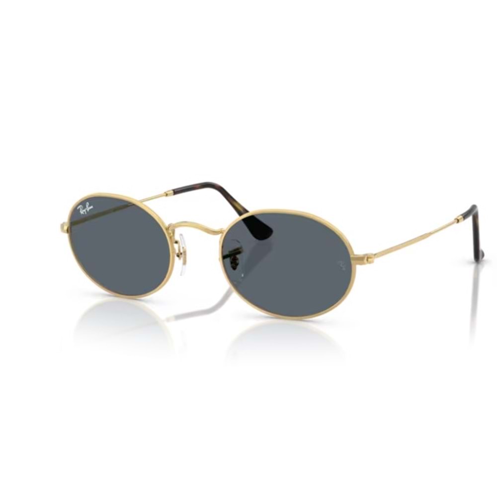 GÜNEŞ GÖZLÜĞÜ RAY-BAN RB 0RB3547N 001/R5 51-21 145 G