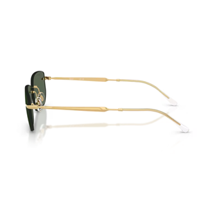 GÜNEŞ GÖZLÜĞÜ Ray-Ban RB 0RB3768 001/71 56-17 145 G